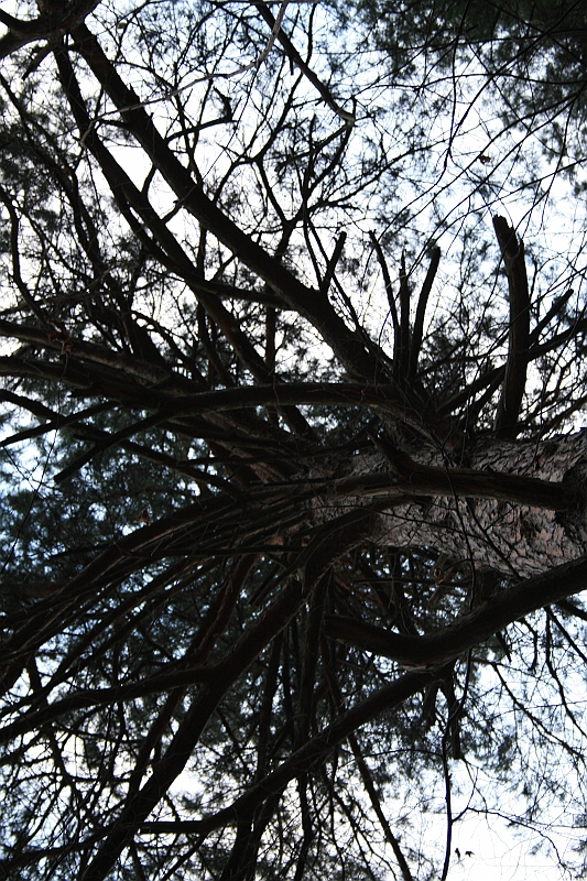 Rostoczek 11.2008 188
